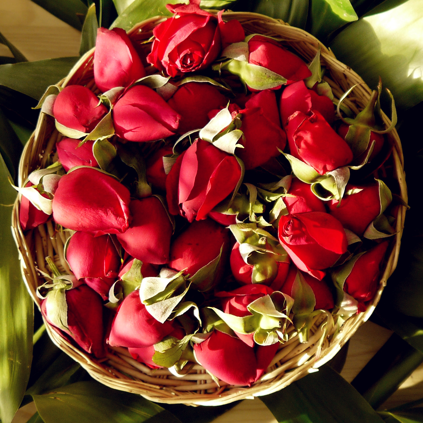 (South East Things) Edible Rose Ink Red 1000g Airlines in secret garden to ship in April