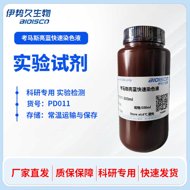 考马斯亮蓝快速染色液 500ml 科研实验专用 伊势久生物