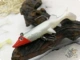 Красочный собачий красный и белый 7g8cm