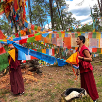 (Bear Family Jewelry) Bear Powder Exclusive Songzanlin Temple authorized to build a prayer for peace and blessings for the lamp to provide thangka