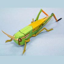 3D paper mold three-dimensional puzzle model diy handmade origami childrens toy simulation insect Locust Grasshopper