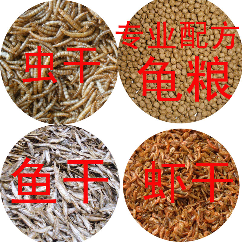 Hamster Grain Infant Turtle Grain Nutrient Shrimp Dry Fish Dry Bread Worm Turtle Feed Turtle Food Basil Turtle Feed Water Turtle Feed