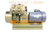 Oil-free vacuum pump KRX3-P-V-03 Shanghai Holiwang