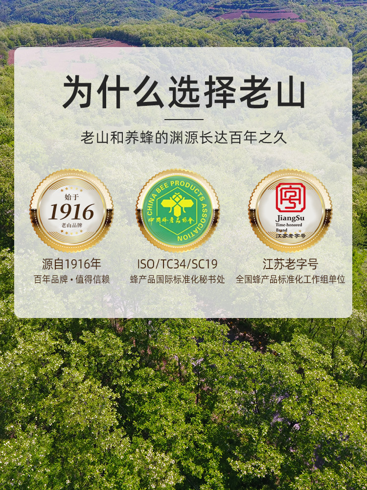 Laoshanxiang Sophora japonica flower honey 2000g natural seven-day mature honey