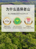 Laoshanxiang Sophora japonica flower honey 2000g natural seven-day mature honey