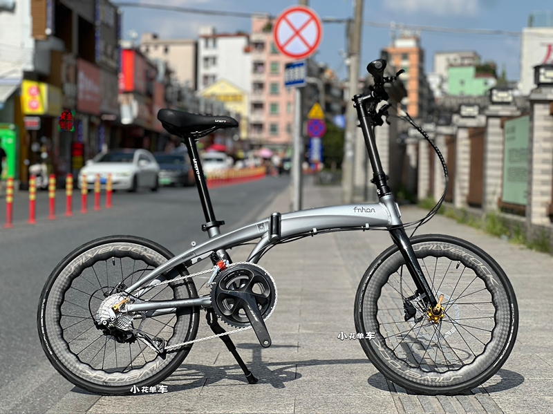 Fnhon Small Flower Bicycle Popular New Model Dg2018 Dolphin Tornado Aluminum Alloy High Rigidity Folding Bike with Oil Brakes