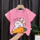 Класс А хлопковое хлопок G22-Cute кролик