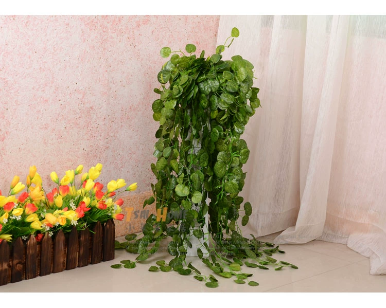Trang trí tường treo mô phỏng mây nho lá nho xanh thì là lá khoai lang lá lụa hoa nhân tạo treo tường hoa nghệ thuật - Hoa nhân tạo / Cây / Trái cây