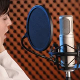 Род Rode K2 Электронная трубка Профессиональная запись Микрофона Профессиональная запись дублирования емкости микрофон