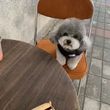 Демисезонный утепленный жилет, пуховик, осенний сезон