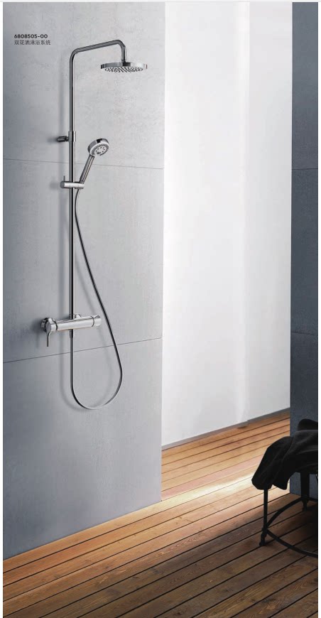 Double rain shower system