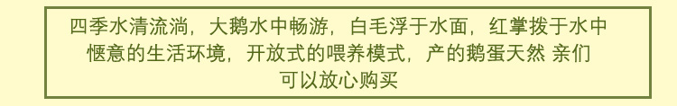 【每日鲜蛋】正宗农家散养鹅蛋12枚