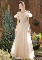 Z-043 Шампанское (аренда)