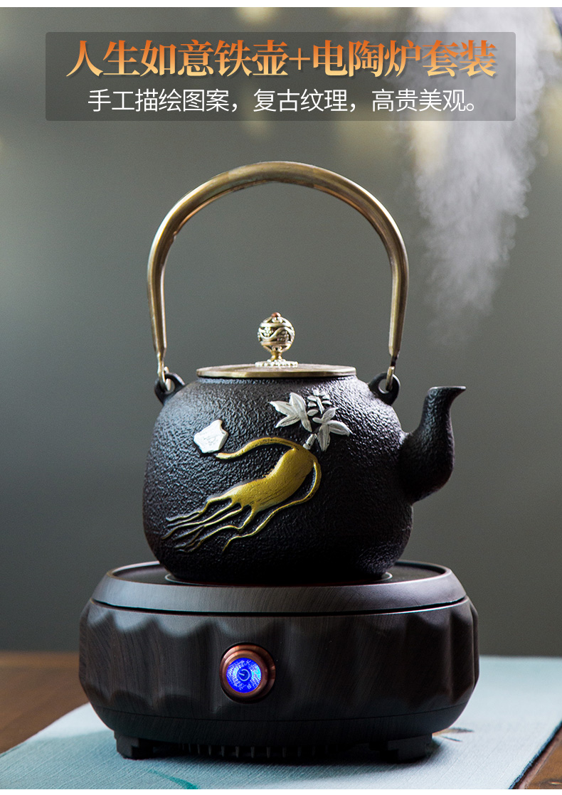 Iron pot of cast Iron teapot kettle boil tea machine electricity TaoLu household imitated Japanese craft brother pot of tea stove suits for