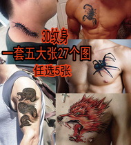 3d tattooed with waterproof scar spider scorpion snake centipede wolf head tattooed with 1 set of 5 sets of men and women