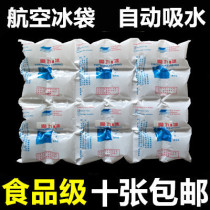 24 small grid thick bio aviation ice bag express seafood fruit food fresh refrigerated ice bag cooling dry ice bag