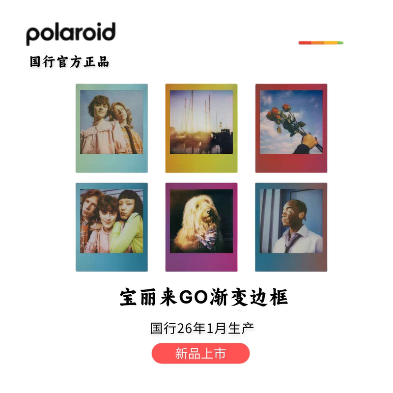 【Discounted Price】Polaroid Go Instant Camera Film Mini Color Film Misty Purple Color Go Gen2 (Chinese Version)