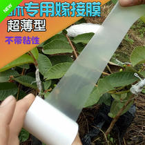 Special grafting film fruit tree seedling grafting film new PE material ultra-thin agricultural general grafting film