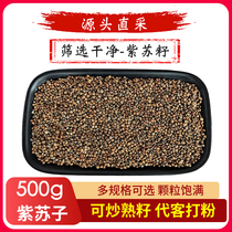 Perilla seeds 500g edible fried perilla seeds powder Chinese medicinal materials bulk perilla powder barbecue seasoning sprinkles