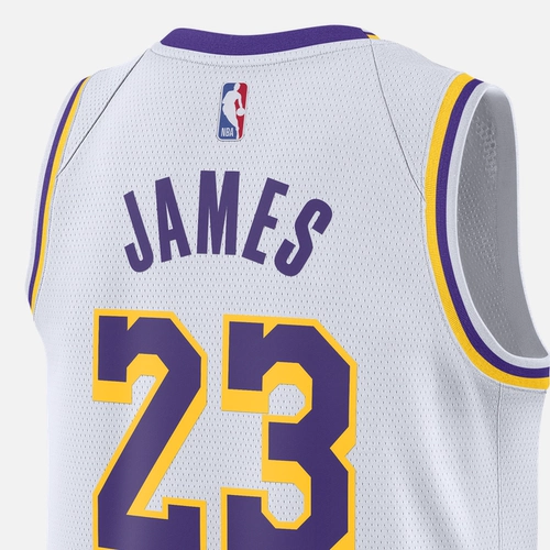 Летний мужской дышащий быстросохнущий трикотаж Nike Los Angeles Lakers NIKE DRI-FIT NBA DN2081