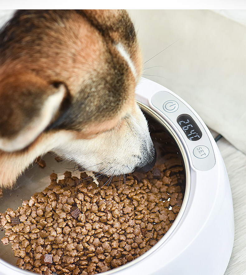 Pet thermostatic bowl stainless steel winter insulation bowl protect intestinal cat bowl dog food heating bowl icefreebowl