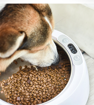 Pet thermostatic bowl stainless steel winter insulation bowl protect intestinal cat bowl dog food heating bowl icefreebowl