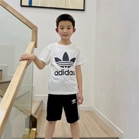 H25246 Дети/DV2904 Big Children's Single T -Fork