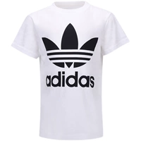 DV2828 Baby Single T -For