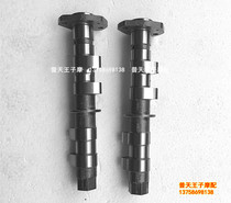 Suitable for Lanbaolong BJ300GS BN300 intake and exhaust camshaft intake cam exhaust cam