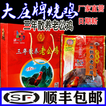 Linyi Yinan Dazhuang Chicken Zhengzong Chicken Zhengzong Chicken Pheasant Farmhouse Loose Grass Chicken Broiler Chicken Broiler Chickens For Three Years Hubby Chicken