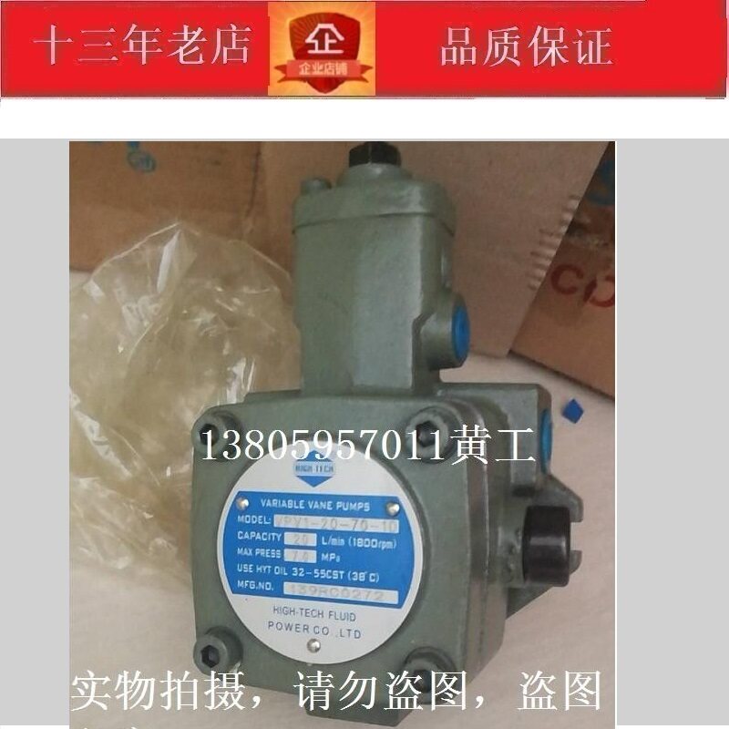 Hetec HIGH-TECH vane pump VPV1-20-55-10 VPV1-20-35 VPV1-20-20 70