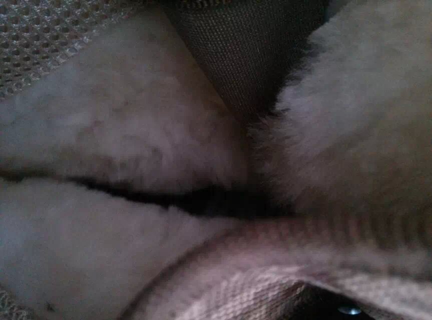 Boots militaires - Ref 1398392 Image 13