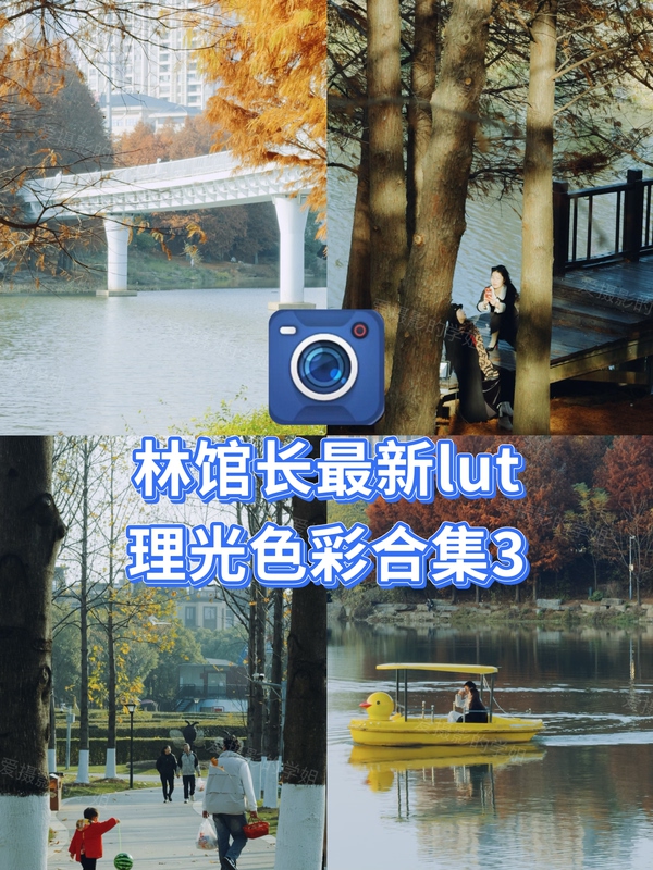 Latest iPhone Color Grading Lut Collection 3/Ricoh Color 15.16.17Pro/Max/Sony/Panasonic