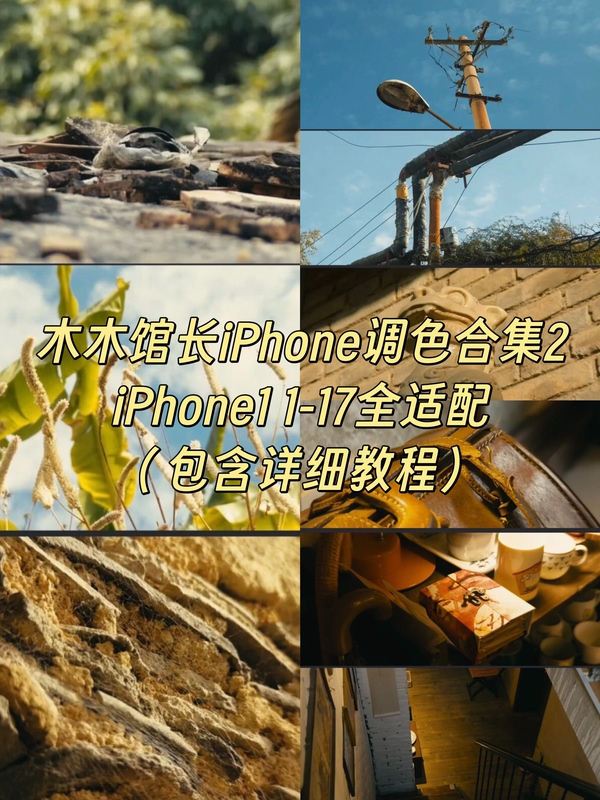 Mumu Director Lut2025's Latest and Most Complete Collection of iPhone Movie-Grade Color Grading Luts 2 with No-Brainer Gray Filter Pack