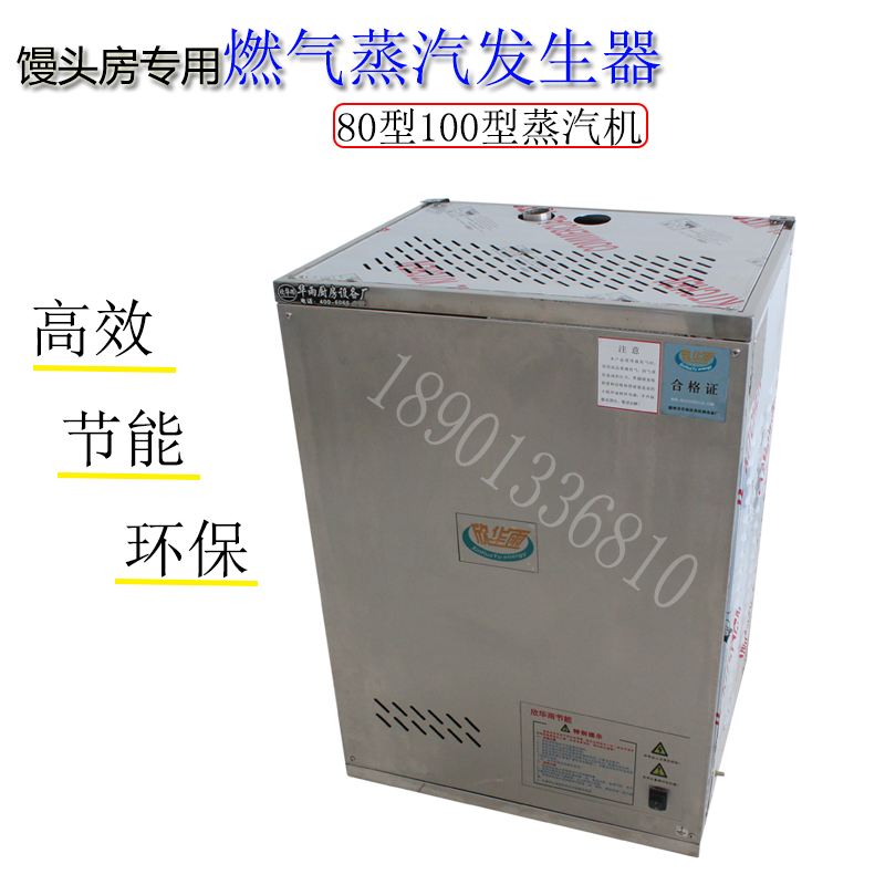 Steam generator vapor boiler Gas fireplace steamed buns special gas steamer Type 80 Type 100