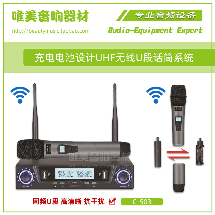 Fine Puone Drag Two Professional Wireless Mic Microphone Ktv Conference Karok Stage Performance U-Section Rechargeable Battery