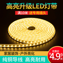 LED lights with super bright three-color light-changing color 220V living room bar ceiling decoration outdoor waterproof neon lights