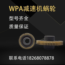 WPA减速机蜗轮 WPO WPX WPS铁芯蜗轮 铜蜗轮 蜗轮蜗杆减速器配件