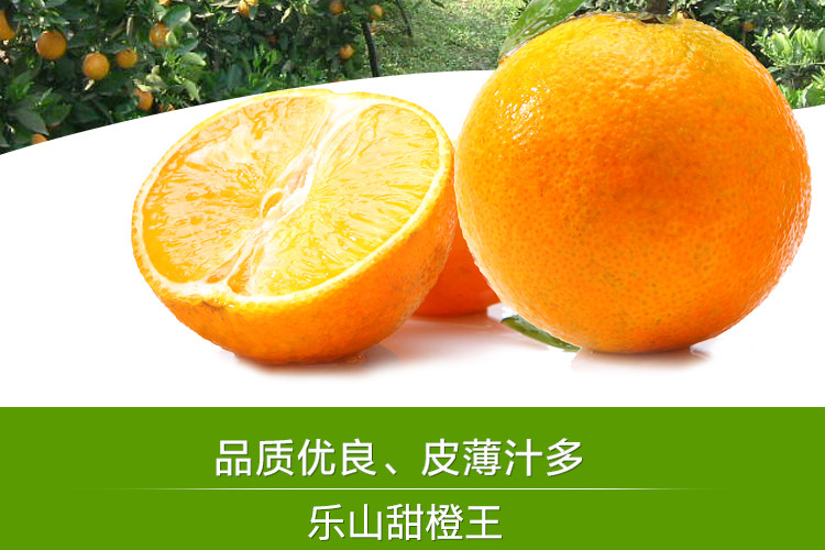 新鲜水果高维C水果鲜橙子有机水果 标准果10