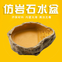 Reptile Water Basin Basin Corner Frog Bath pavias lizard Lizard Snake Mane Lions tortoise Climbing Spotting Rock Drinking Water Feeding Bowls