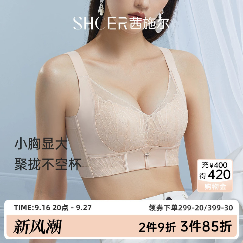 Qianshier Small Chest Push-Up Bra Without Underwire, Summer Thin Style Lingerie for Women, Gathers Side Breasts, Prevents Sagging, Lace Beautiful Back Bra Qianshier Small Chest Push-Up Bra Without Underwire, Summer Thin Style Lingerie for Women, Gathers Side Breasts, Prevents Sagging, Lace Beautiful Back Bra