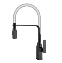 RAL winner spring hose kitchen faucet Kitchen spring universal faucet double outlet mode