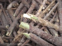 Acanthopanax stems wild Acanthopanax stems and branches in Northeast Changbai Mountain dried Chinese medicinal materials to enhance immunity and soothe the nerves 3