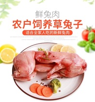 Rabbit Meat Fresh Now Kill Loose Whole Rabbit Meat Frozen Chilled Rabbit Low Fat Substitute Meat Rabbit 1 Dress