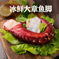 Octopus frozen seafood sasab seafood frozen octopus foot can be sauté 400g