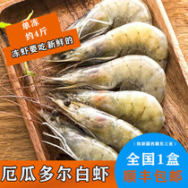 Ecuadorian white shrimp Salt frozen sea shrimp base shrimp fresh shrimp green shrimp extra large shrimp frozen seafood about 3kg