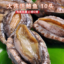 Chengdu seafood Dalian Abalone Fresh Big abalone 10-11kg fresh seafood fish 10