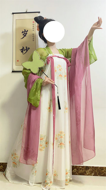 Xiciji Restoration Tang Short Shirt Chest-length One-Piece Broken Skirt Printed Hanfu Women's Spring and Summer Daily