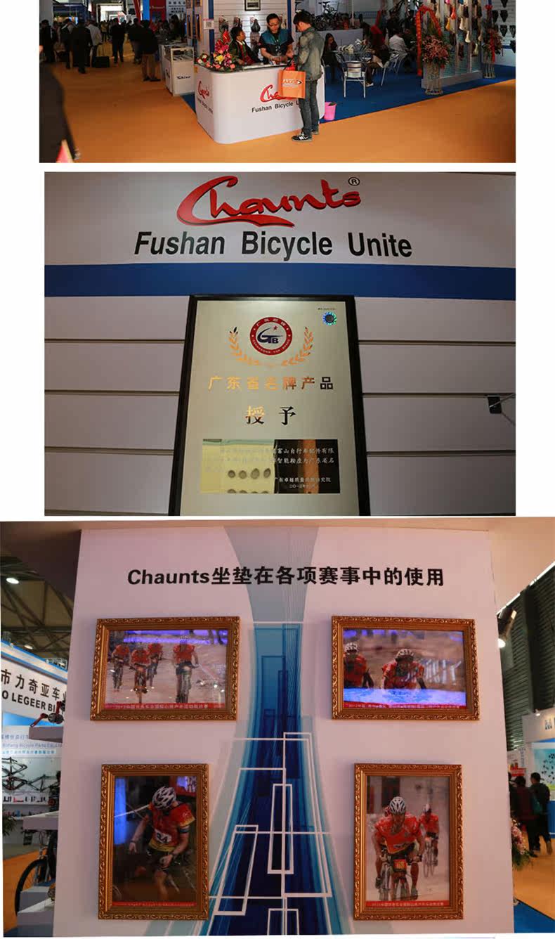 Selle de vélo Mountain Bike CHAUNTS - Ref 2346973 Image 16