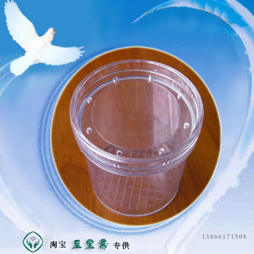 带放大镜昆虫观察盒 养虫盒 昆虫盒 小学科学生物实验器材 可开票
